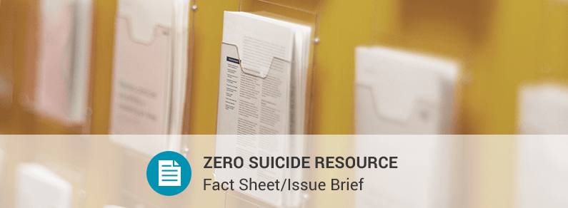 Financing suicide prevention in health care systems
