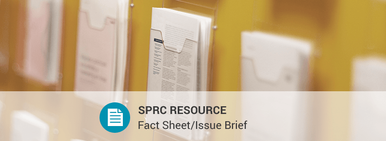 Screening and Safety Planning With Adults at Risk of Intimate Partner Violence (IPV) and Suicide: An Issue Brief for Clinicians 